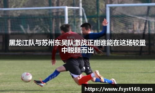 黑龙江队与苏州东吴队激战正酣谁能在这场较量中脱颖而出